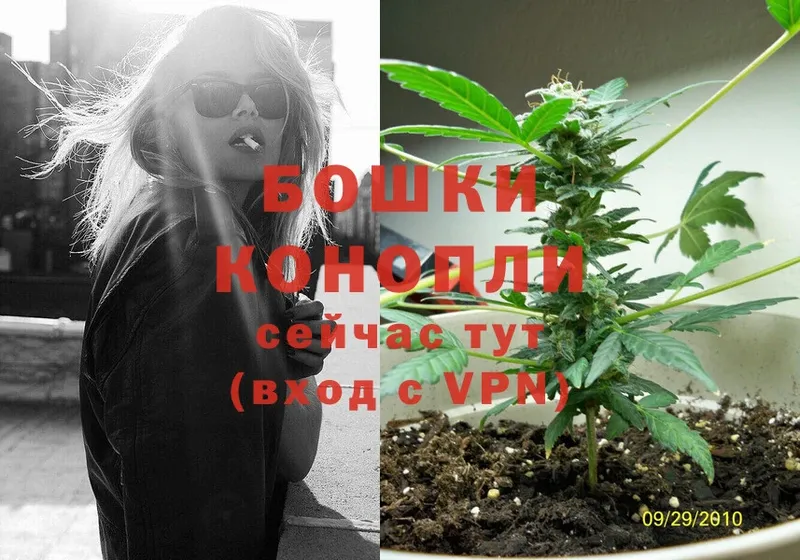 mega ссылки  Кудрово  Бошки марихуана White Widow 